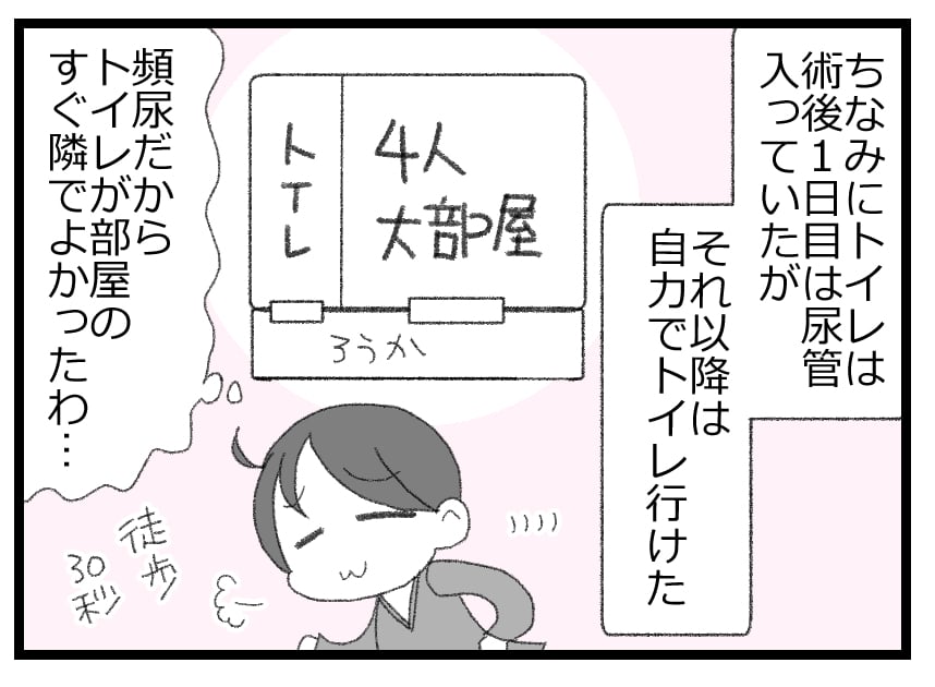 胆石で手術した話52「ホテルと化す入院生活」 │ ヲタママだっていーじゃない!