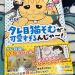 「タレ目猫そむが可愛すぎるんじゃ～！」を読みました