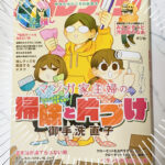 「マンガ家主婦のツッコミが止まらない掃除と片づけ」を読みました